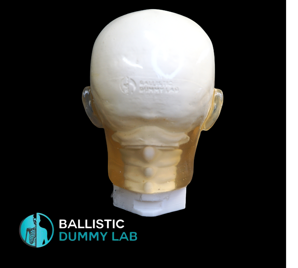 Ballistic Dummy Loaded Zombie Head – Ballistic Dummy Lab