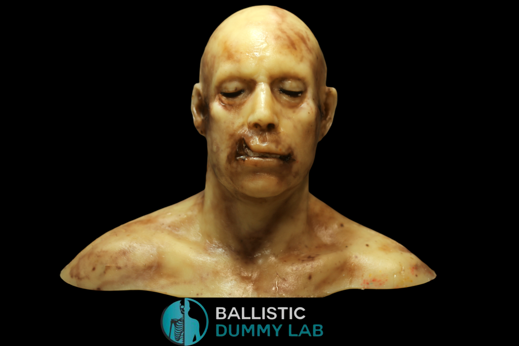 Ballistic Dummy Gel Zombie Torso – Ballistic Dummy Lab
