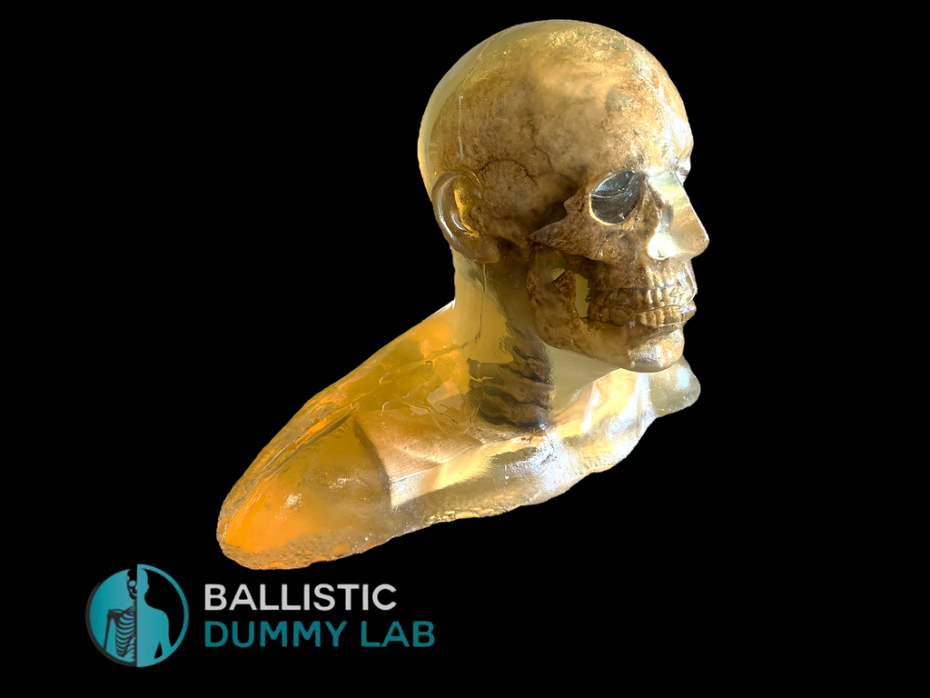 Ballistic Dummy Gel Zombie Torso – Ballistic Dummy Lab