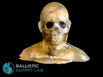 Ballistic Dummy Loaded  Basic Zombie Bust