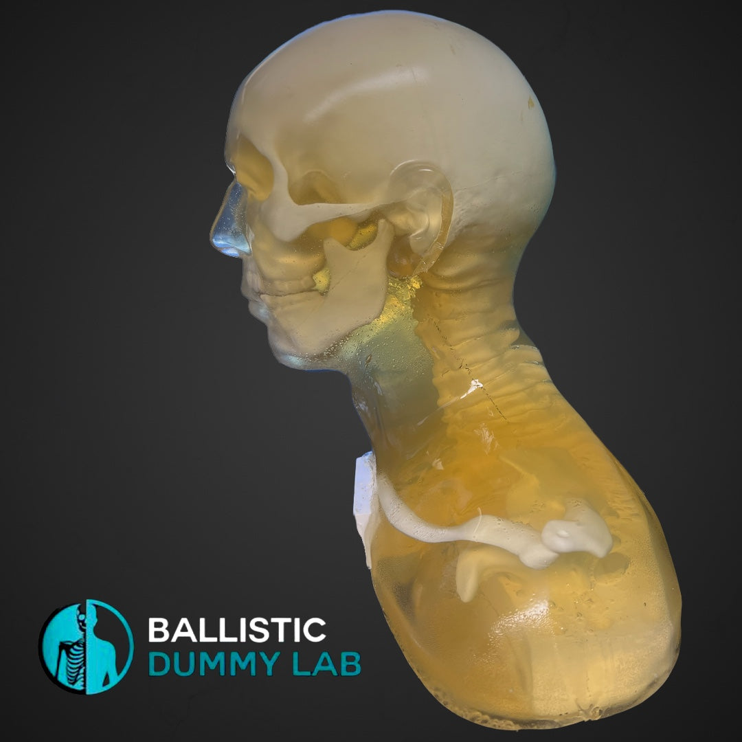 Deluxe Ballistic Dummy Gel Bust – side view