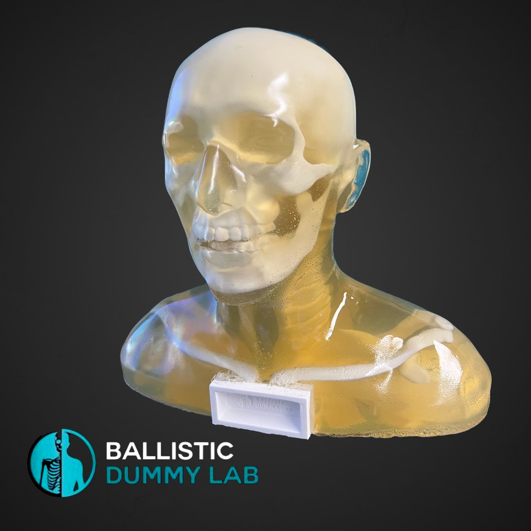 Deluxe Ballistic Dummy Gel Bust – front view