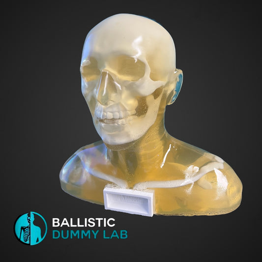 Deluxe Ballistic Dummy Gel Bust – front view