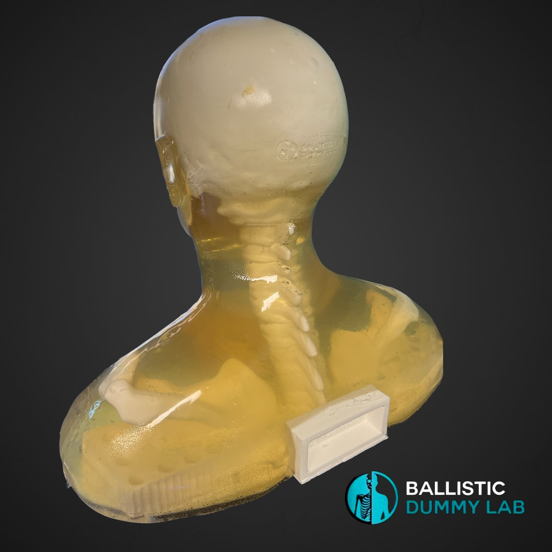 Deluxe Ballistic Dummy Gel Bust – detail view