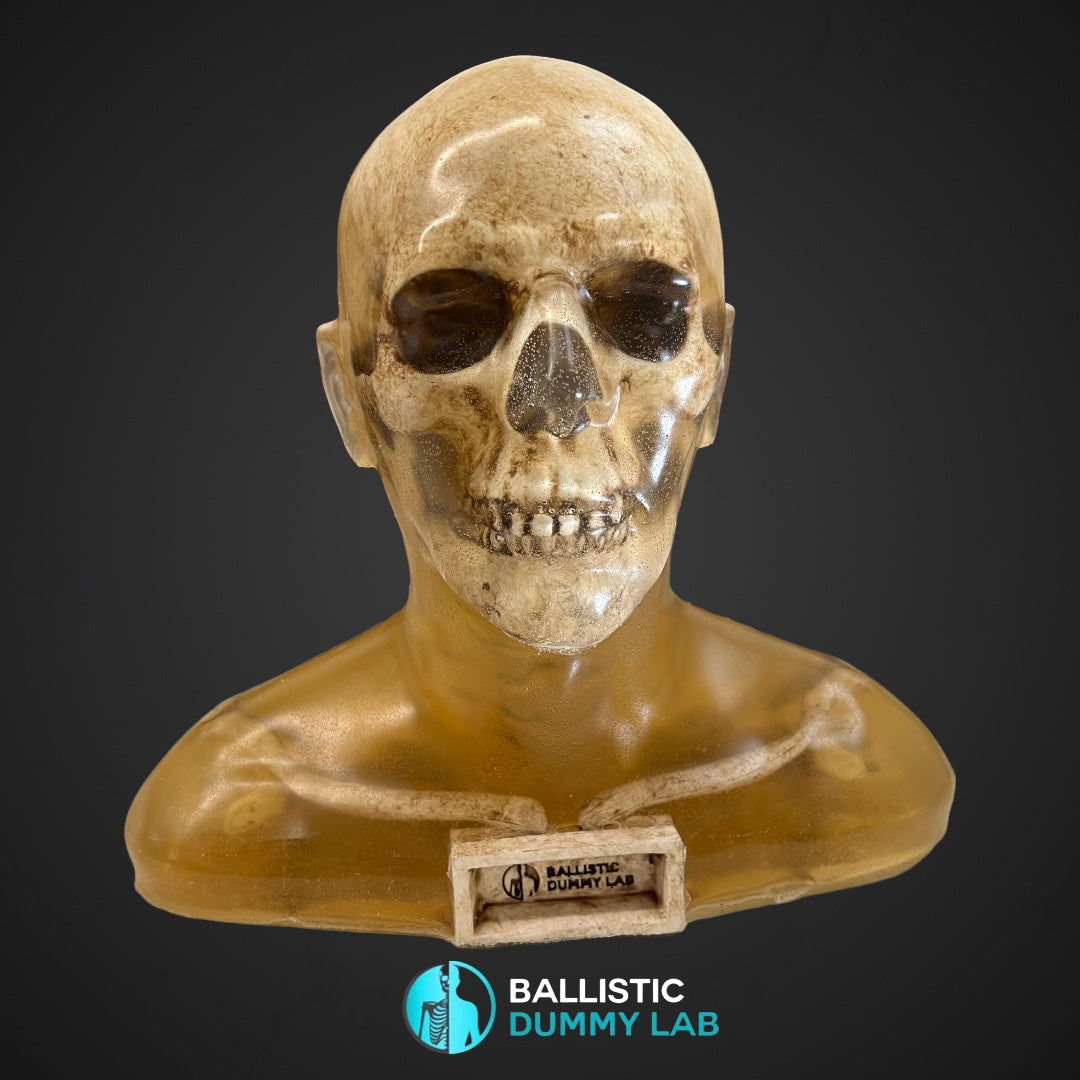 Deluxe Ballistic Dummy Gel ZOMBIE Bust – front view