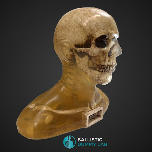 Deluxe Ballistic Dummy Gel ZOMBIE Bust – side view