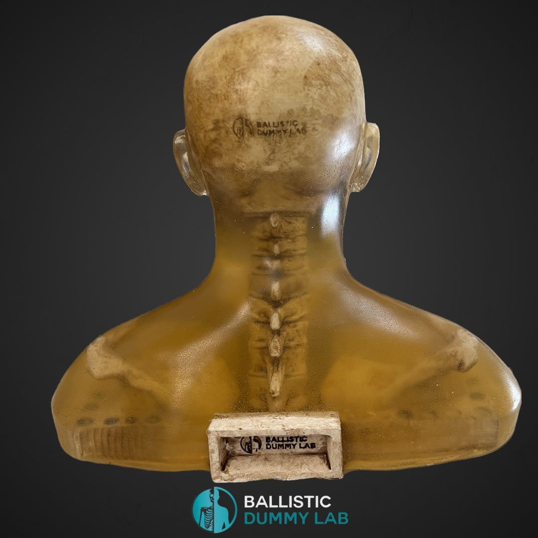Deluxe Ballistic Dummy Gel ZOMBIE Bust – detail view