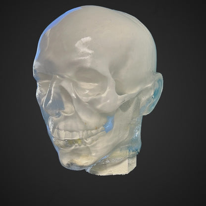 Perma-Gel Ballistic Dummy Loaded Head – back view