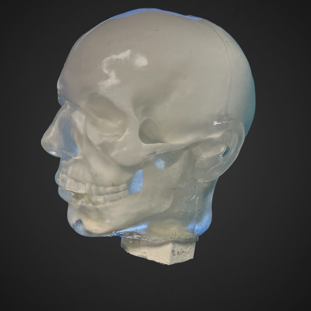 Perma-Gel Ballistic Dummy Loaded Head – close-up view