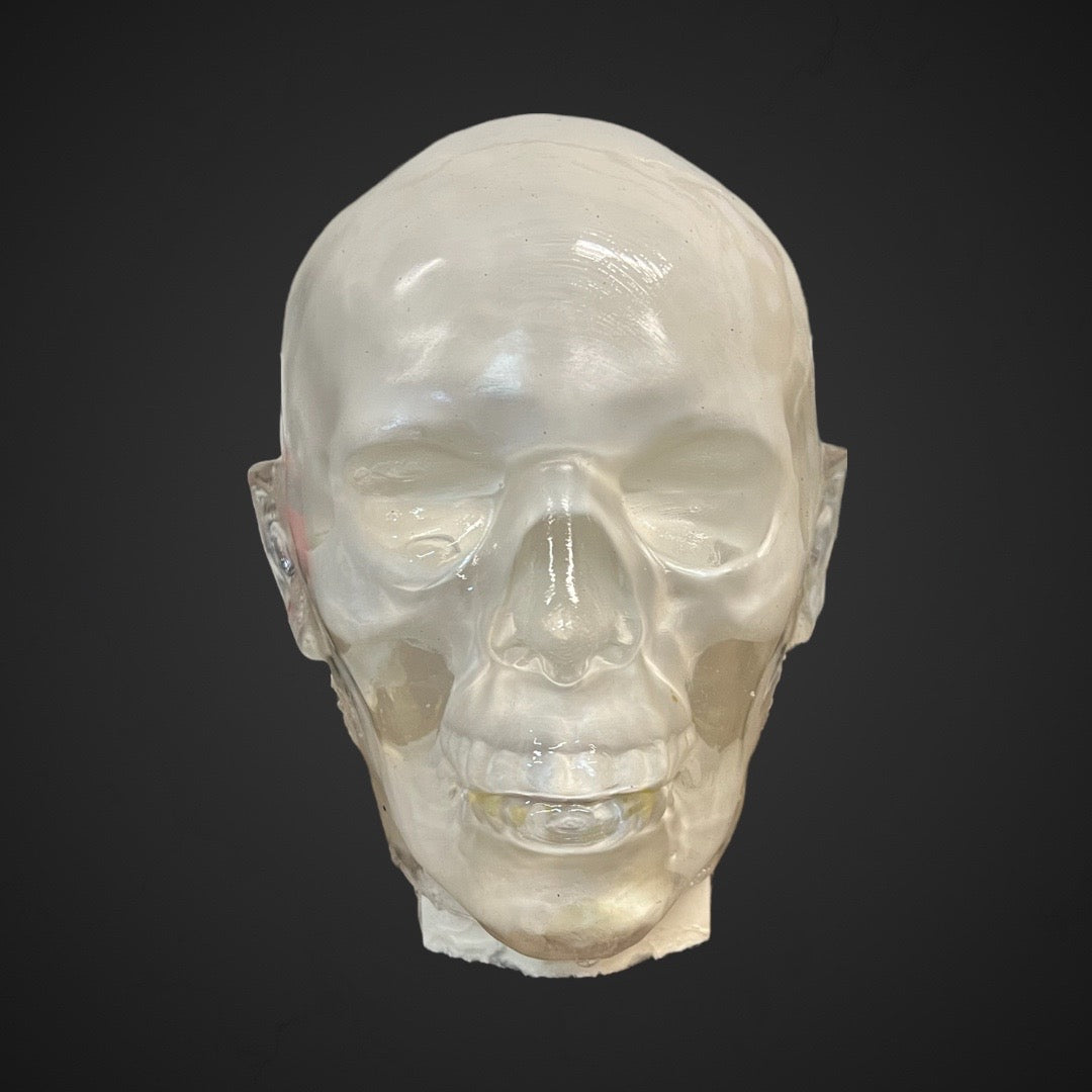 Perma-Gel Ballistic Dummy Loaded Head – front view