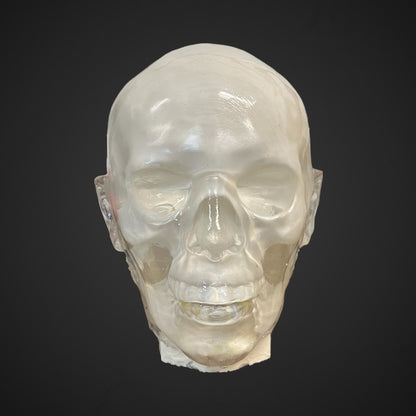 Perma-Gel Ballistic Dummy Loaded Head – front view