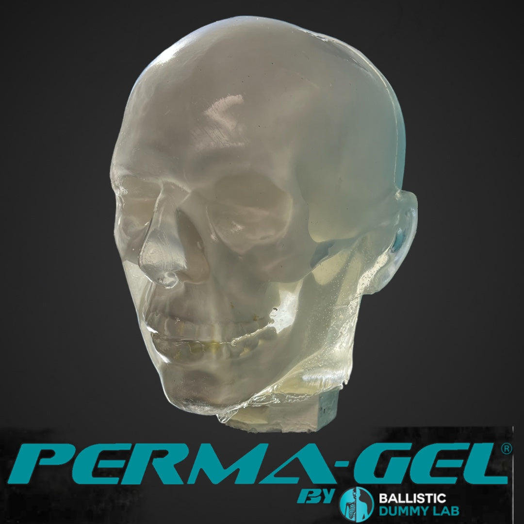 Perma-Gel Ballistic Dummy Loaded Head – detail view