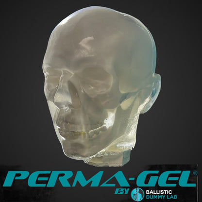 Perma-Gel Ballistic Dummy Loaded Head – detail view