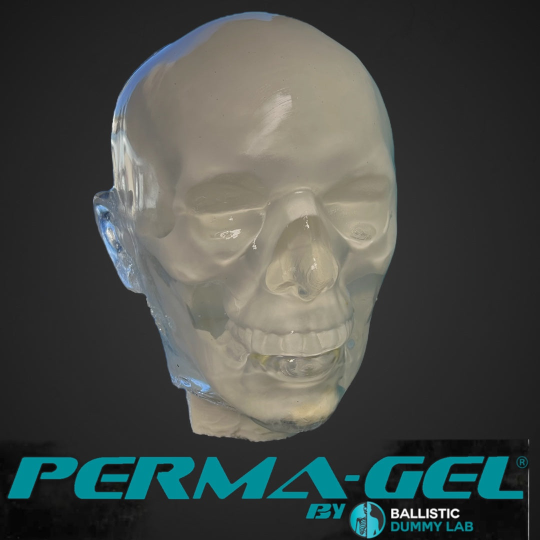 Perma-Gel Ballistic Dummy Loaded Head – side view