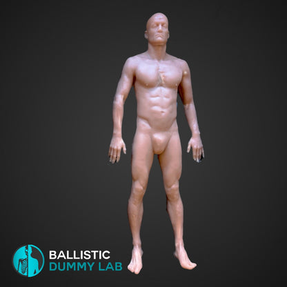 Ballistic Dummy Gel Male Body – close-up view