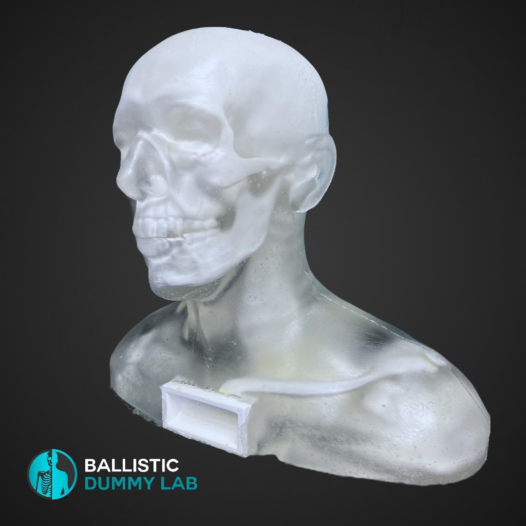 NEW ! PermaGel Ballistic Dummy Loaded Deluxe Bust Ballistic Dummy Lab