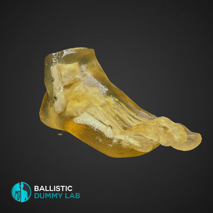 Ballistic Dummy Gel Foot – detail view