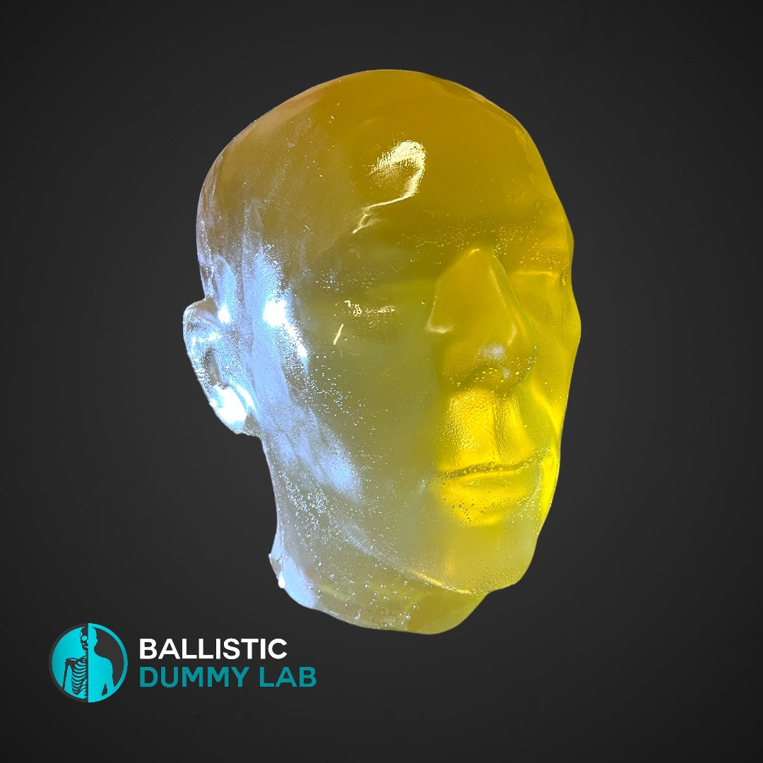 Ballistic Dummy Gel Head (no internals) – front view