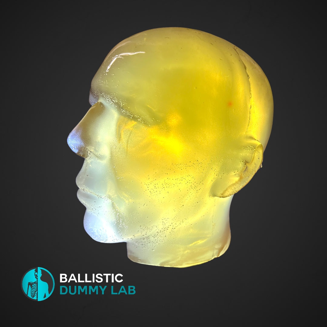 Ballistic Dummy Gel Head (no internals) – side view
