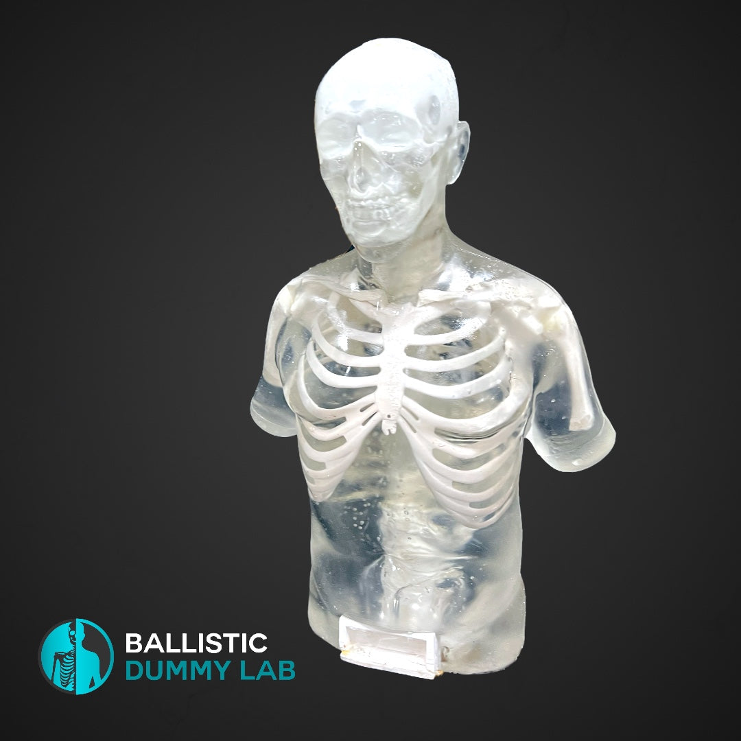 Perma-Gel Ballistic Dummy Deluxe Torso with Head – alternate view