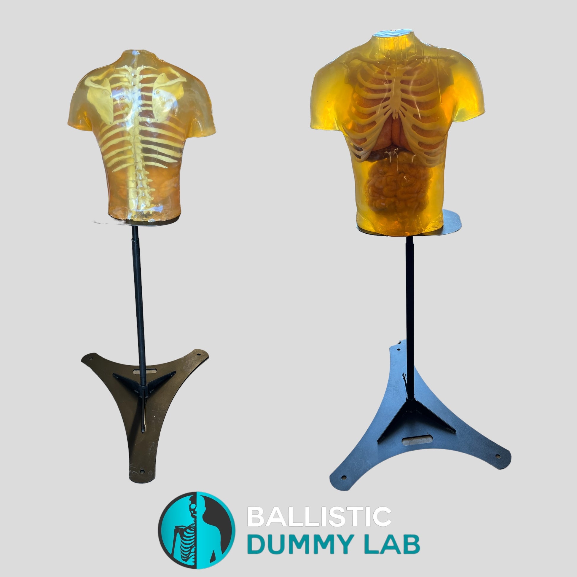 Steel Torso Stand with torsos mounted 