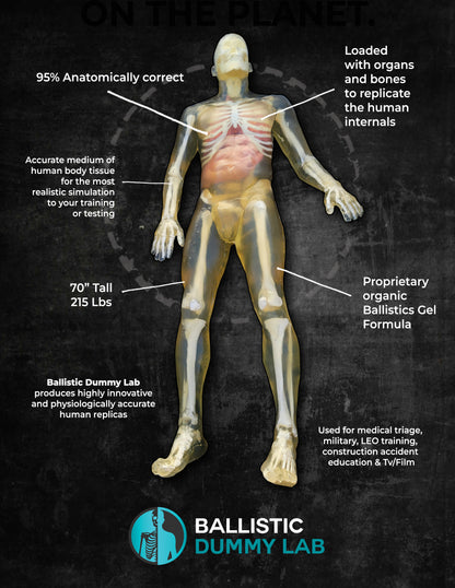 Ballistic Dummy Gel Male Body – alternate view