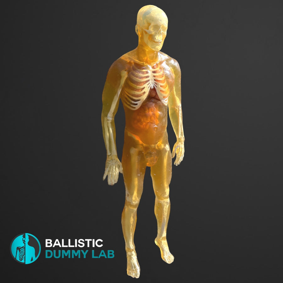 collections-ballistic-dummy-lab