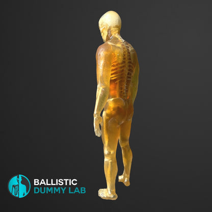 Ballistic Dummy Gel Male Body – side view