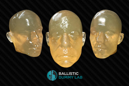 Ballistic Dummy Gel Head (no internals) – detail view